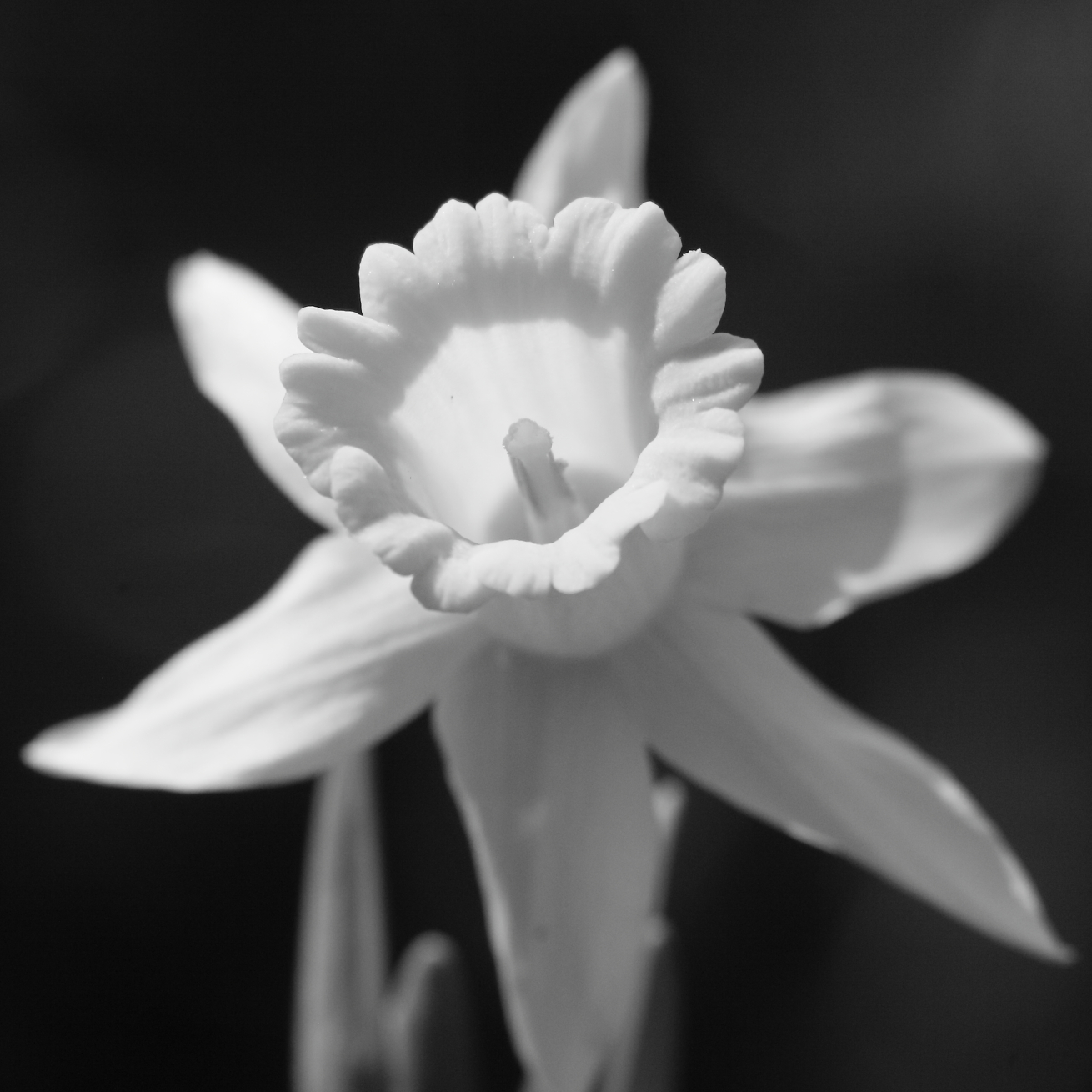 2015 04 18 HTP 000041961